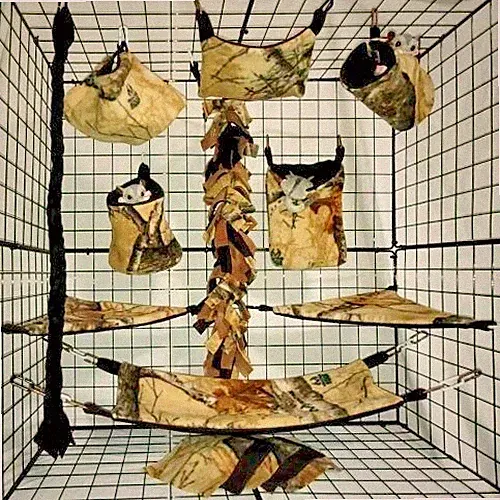 Real Tree Desert*15 PC Sugar Glider Cage set * Rat * double layer Fleece